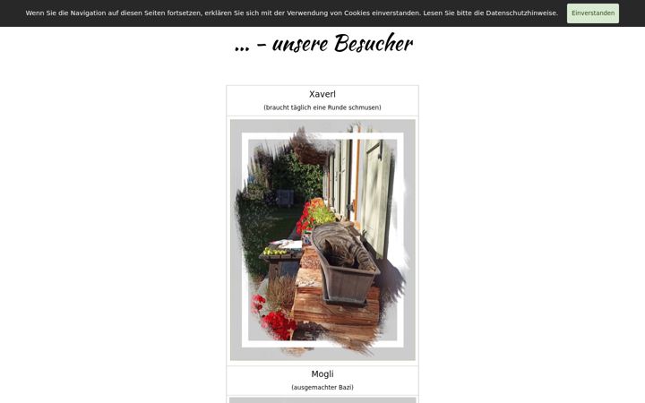Screenshot of brigittesedlmeier.de