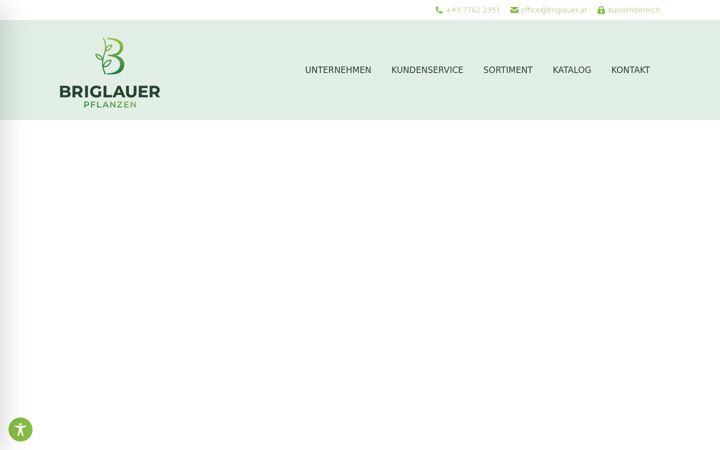 Screenshot of briglauer.at