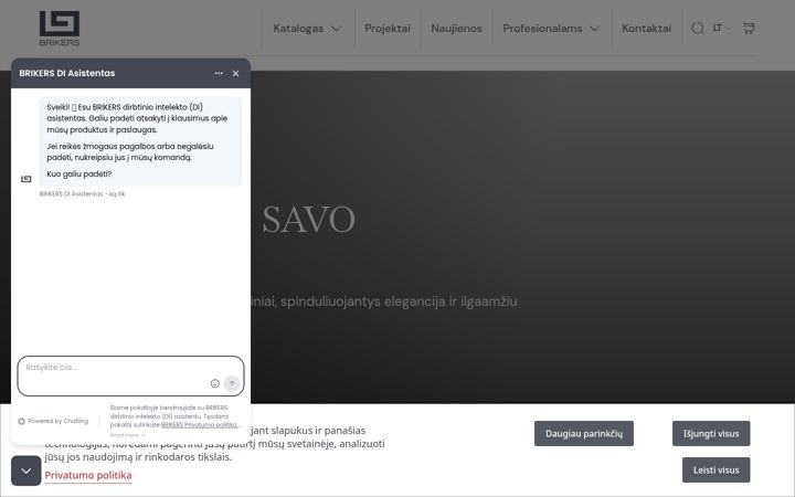 Screenshot of brikers.lt