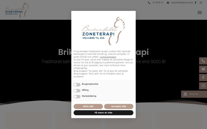 Screenshot of brikzone.dk