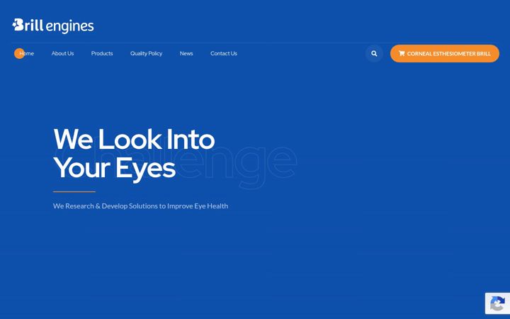 Screenshot of brillengines.com