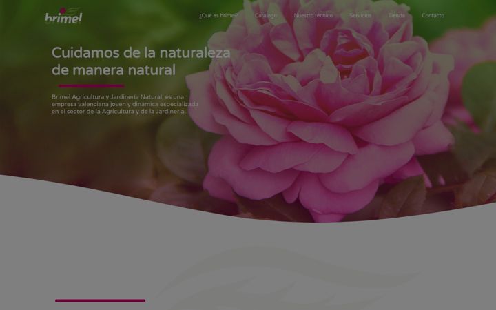 Screenshot of brimel.net