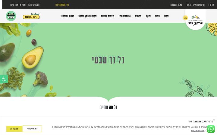 Screenshot of brinadavid.co.il