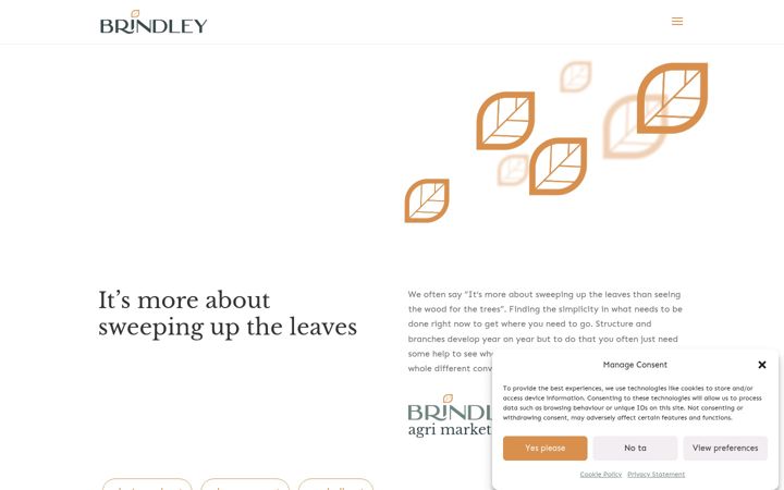 Screenshot of brindleyrural.co.uk