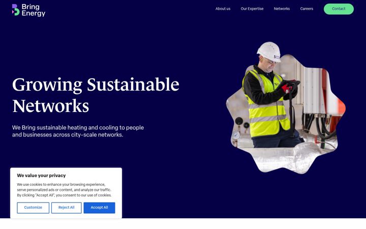 Screenshot of bringenergy.com