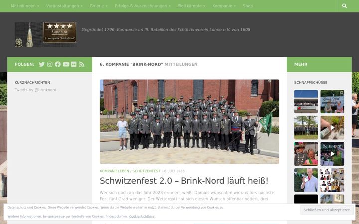 Screenshot of brink-nord.de