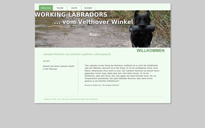 Screenshot of brinkhoefer.de