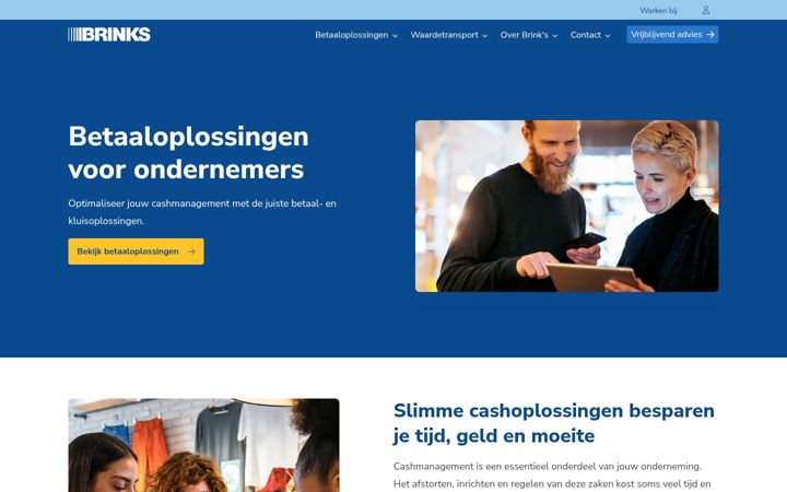 Zrzut ekranu brinks.nl