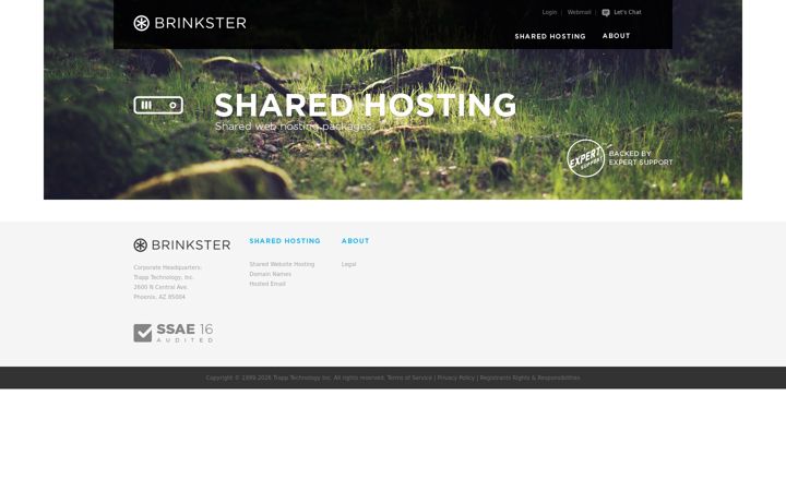 Ekrano kopija brinkster.com
