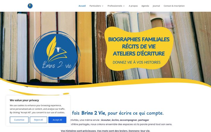 Screenshot of brins2vie.fr
