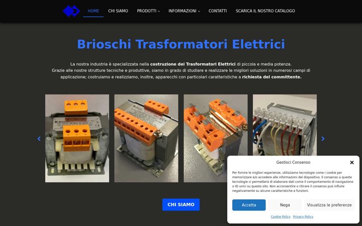 Screenshot of brioschitrasformatori.it