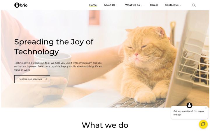 Screenshot of briotech.com