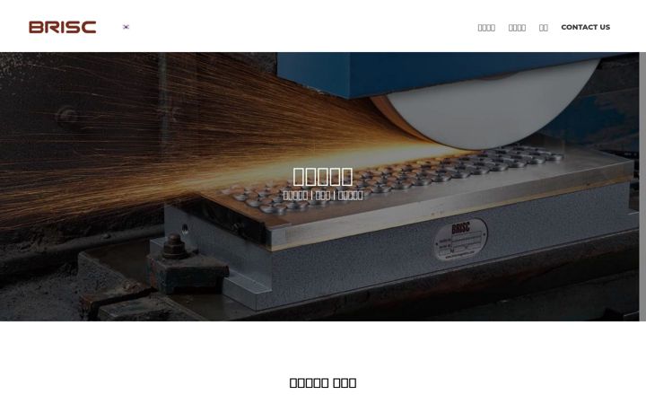 Screenshot of brisc.co.kr