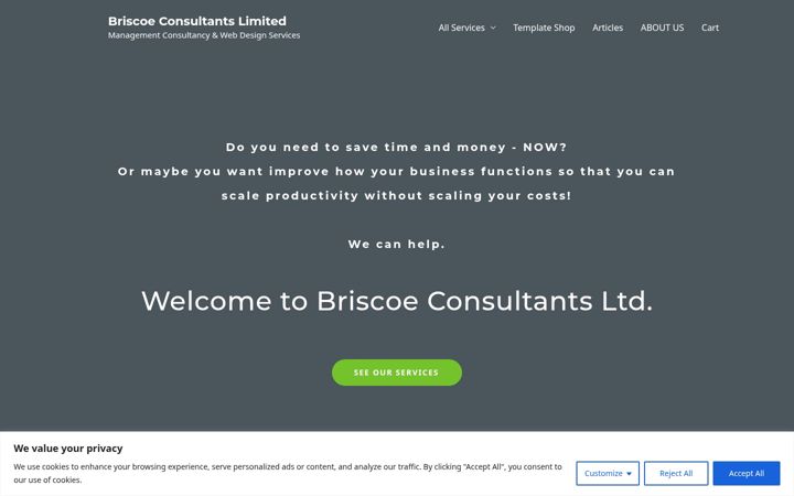 Screenshot of briscoe-consultants.com