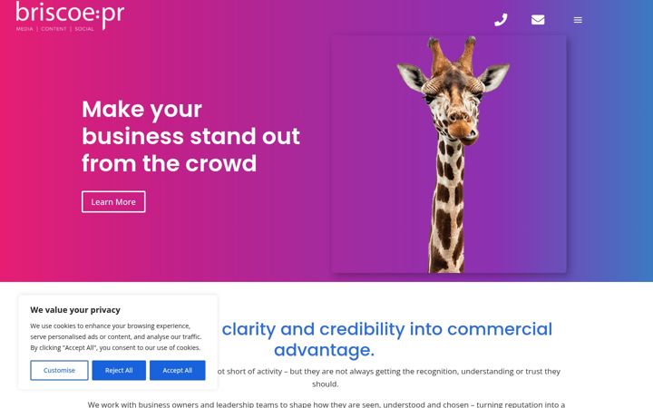 Screenshot of briscoepr.co.uk