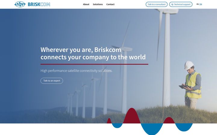 Kuvakaappaus sivustosta briskcom.com.br