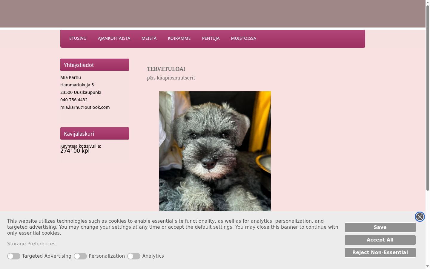 Screenshot of the consent banner shown before any interaction