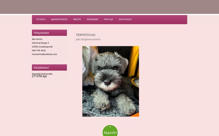Screenshot of brisken.fi