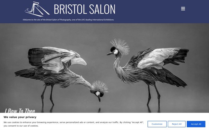 Screenshot ta' bristolsalon.co.uk