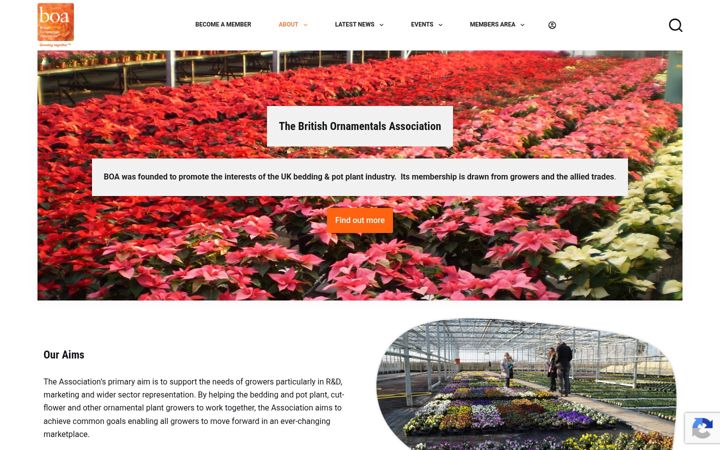 Screenshot of britishornamentals.org