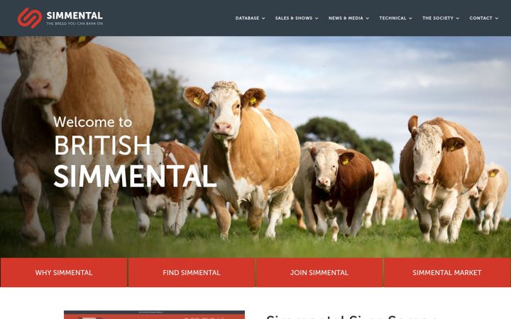 Screenshot of britishsimmental.co.uk