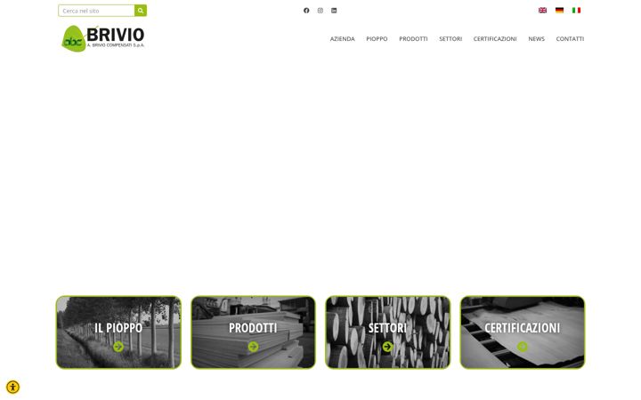 Screenshot ta' brivio.it
