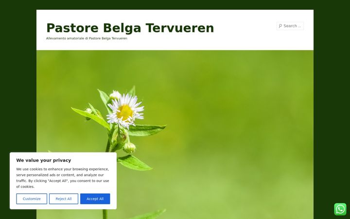 Screenshot of brixaltervueren.altervista.org