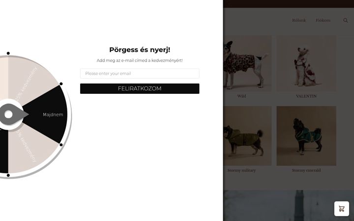 Screenshot di brizlo.hu