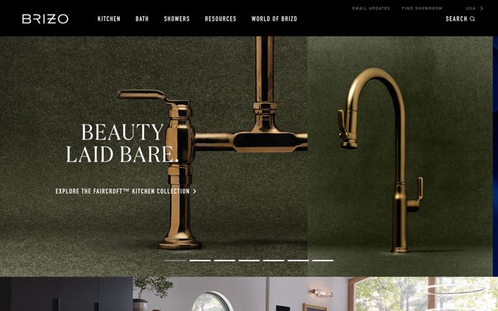 Screenshot of brizo.com