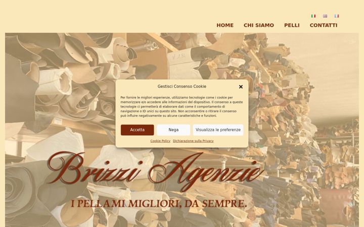 Screenshot of brizziagenzie.com