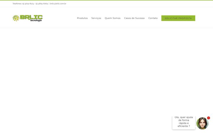 Kuvakaappaus sivustosta brlic.com.br