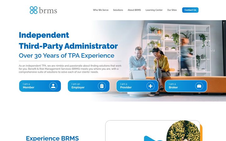 Screenshot of brmsonline.com