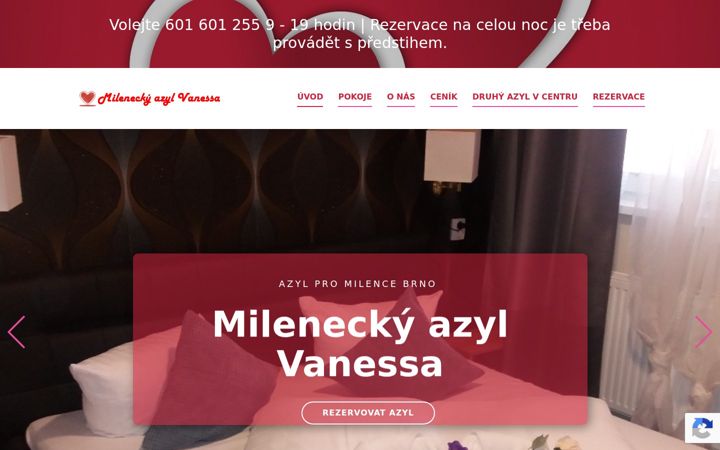 Screenshot of brnoazyl.cz