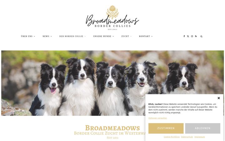 Screenshot of broadmeadows.de