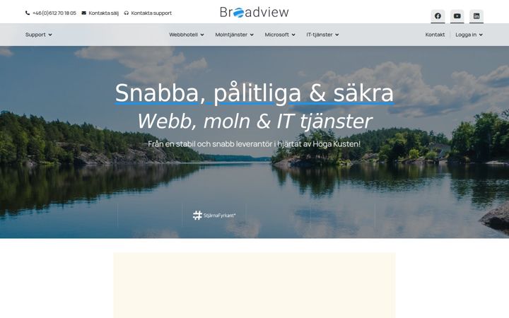 Captura de pantalla de broadview.se