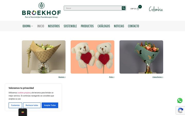 Screenshot of broekhofcolombia.com