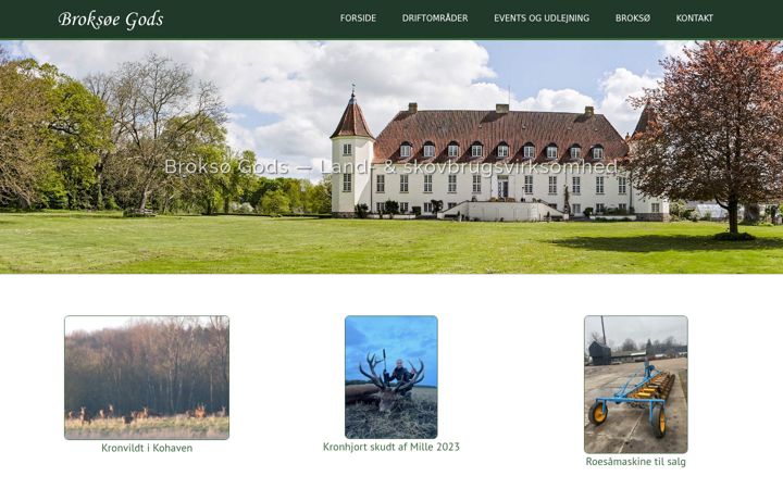 Screenshot of broksoe.com