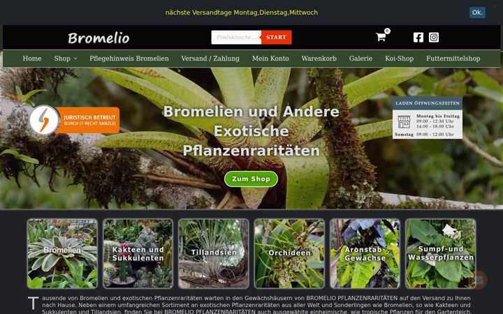 Skjámynd af bromelio.de