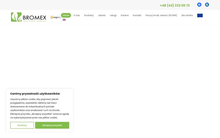 Capture d'écran de bromex.com.pl