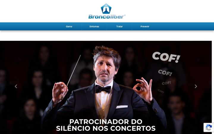 Screenshot of broncoliber.pt