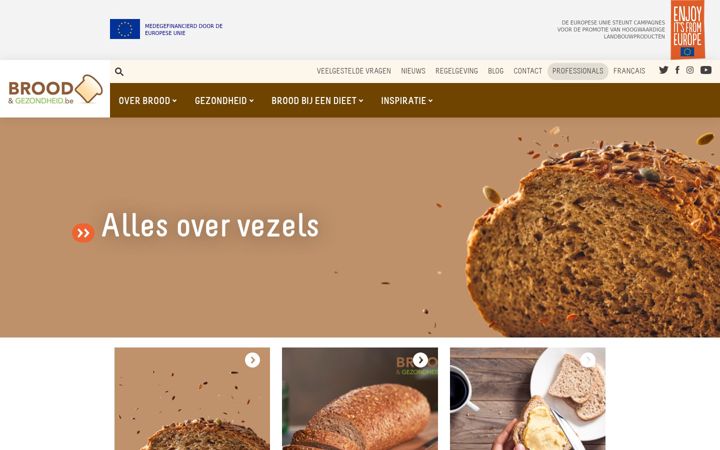 Screenshot of broodengezondheid.be