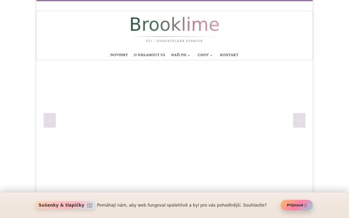 Zrzut ekranu brooklime.cz
