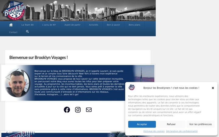 Screenshot of brooklynvoyages.fr