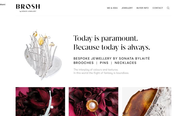 Screenshot of brosh.lt
