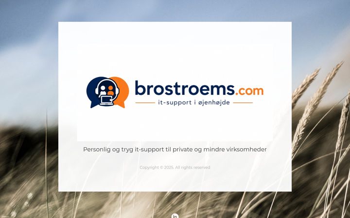 Screenshot of brostroems.com