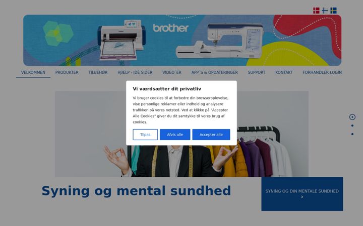 Screenshot of brothersy.dk