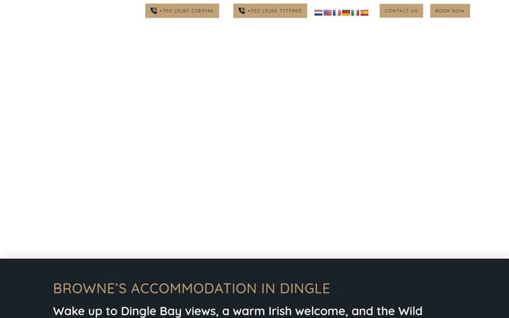 Screenshot of brownesdingle.ie