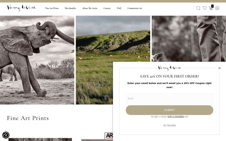 Screenshot of browneyesgalleryprints.com