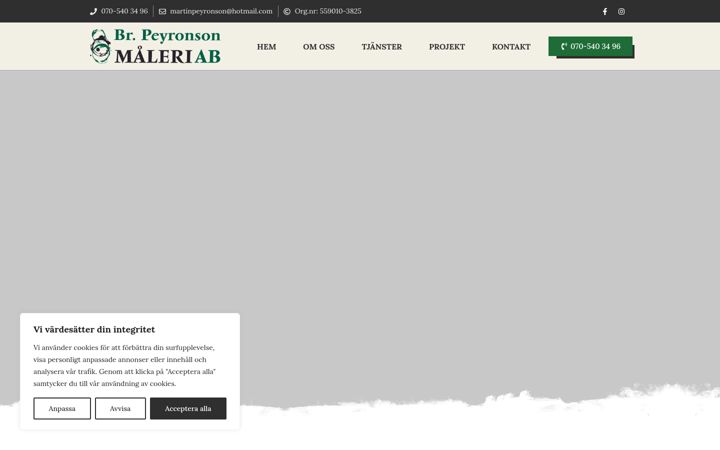 Screenshot of brpeyronsonmaleri.com