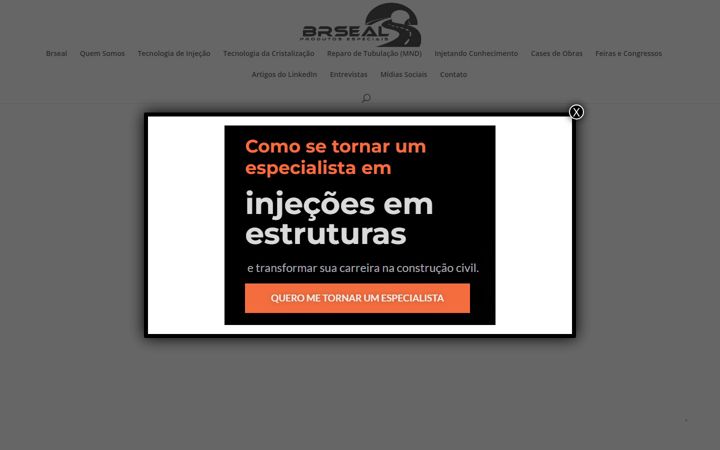 Екранна снимка на brseal.com.br